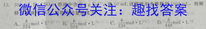 f安徽省合肥市肥东县2024届九年级期末试卷化学