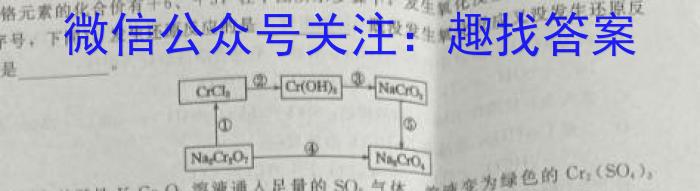 青海省民和县第一中学高三2024年秋季学期第二次月考检测(10029C)数学