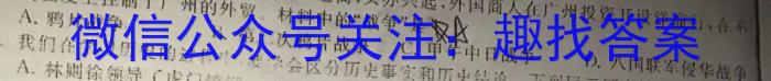 2024年陕西省初中学业水平考试全真模拟(七)7历史试卷答案