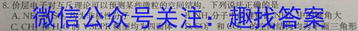 天一大联考 湖南省2024届高三5月联考(5.24)数学