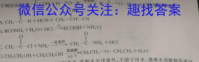 衡水大联考·广东省2025届高三年级摸底联考（8月）化学