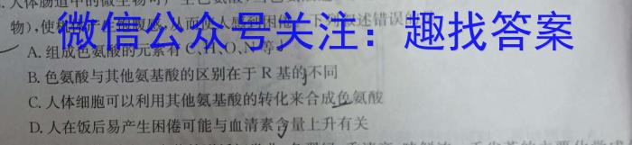 2024年安徽省初中学业水平考试定心卷数学