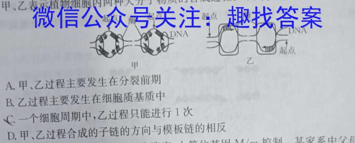 湖北省黄冈市2024年秋季九年级入学质量检测(2024年春湖北省知名中小学教联体联盟)生物学试题答案