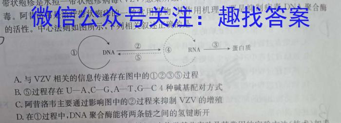 2024届景德镇市高三第三次质量检测试题数学