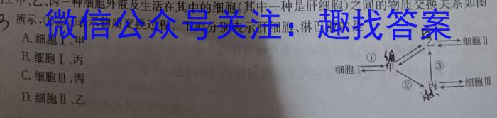 2025届普通高等学校招生全国统一考试青桐鸣10月大联考（高三）生物学试题答案