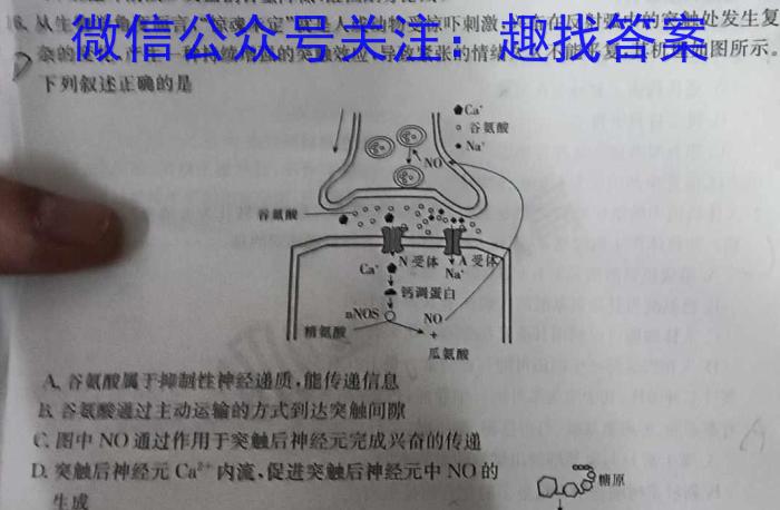 普高大联考山东新高考联合质量测评3月联考试题(2024.3)数学