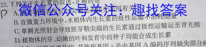 2024年河南省初中学业水平考试全真模拟试卷（三）数学