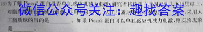 河北省2024学年度九年级学业水平抽样评估(二)2生物学试题答案