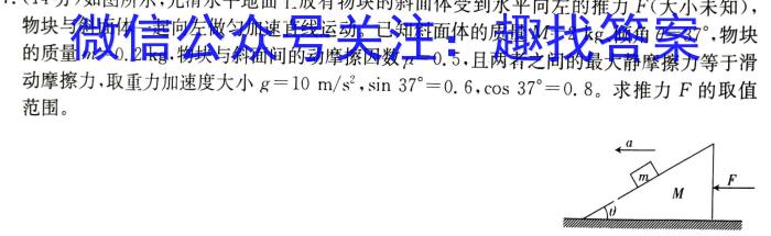 贵州省六盘水市2024年八年级学业质量监测试题卷物理试题答案