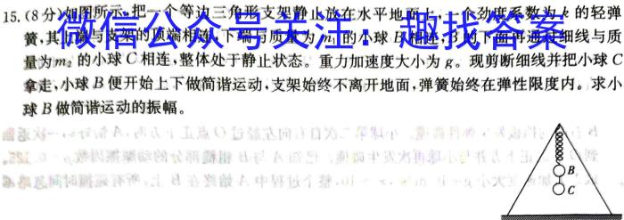 安徽第一卷·2024-2025学年安徽省九年级(9月)教学质量检测一Ⅰ物理试题答案