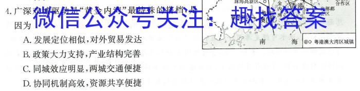 伯乐马 2024年普通高等学校招生新高考模拟考试(十)10地理试卷答案