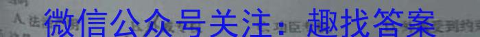 上进联考•2023-2024学年第一学期高二年级期末测试历史试卷答案