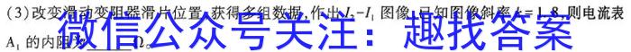 河南省2023-2024学年九年级第一学期学习评价（4）f物理