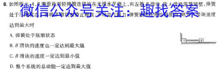 河南省洛阳市2023-2024学年高二第一学期期末考试物理试卷答案