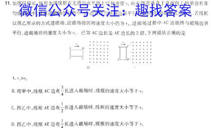 2024年安徽省初中学业水平检测（4月）f物理