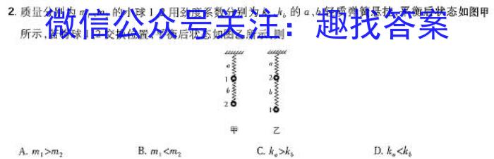 2024年普通高等学校全国统一模拟招生考试 金科新未来4月联考物理试卷答案