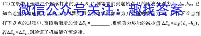 衡水金卷 2025届高三年级摸底联考(山东)物理试题答案