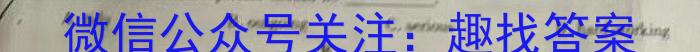 名校计划 2024年河北省中考适应性模拟检测(导向一)英语