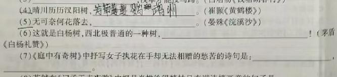 [今日更新]云南省昆明市2023~2024学年高一期末质量检测语文试卷答案
