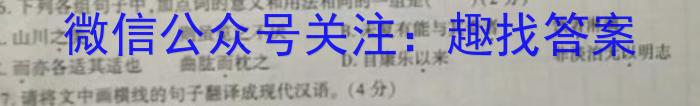 万唯中考 2024年安徽省初中学业水平考试·临考金卷语文