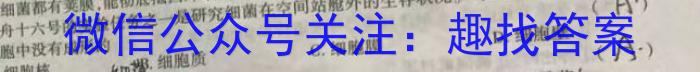 巴蜀中学2024届高考适应性月考卷(六)黑黑白黑黑黑黑数学