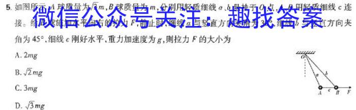 2025届河北省高三试卷9月联考(25-23C)物理试题答案