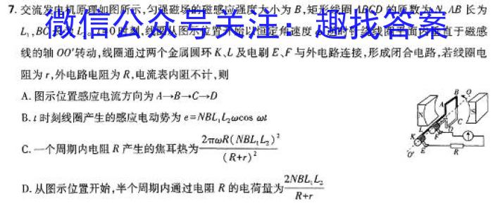 ［济南三模］济南市2024届高三适应性考试物理试题答案