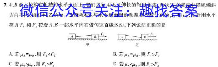 2024年普通高等学校招生全国统一考试猜题信息卷(六)6物理试卷答案