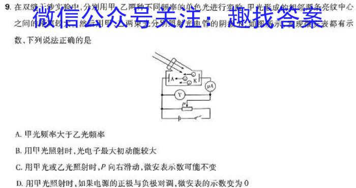 安溪一中、养正中学、惠安一中、泉州实验中学2024年高三年高考模拟训练物理`