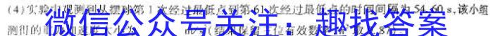 安徽省2024~2025学年度高三年级九月份月考(25-X-095C)物理试题答案