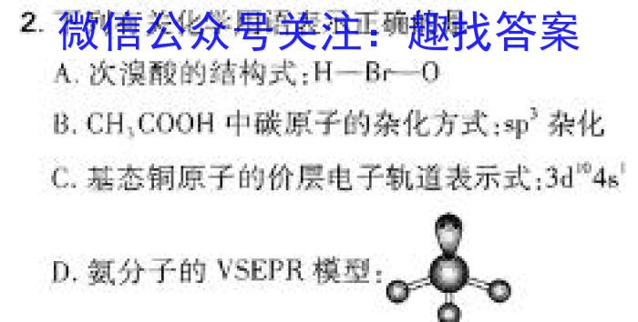 q安徽省淮北市2023-2024学年度第一学期九年级质量检测化学