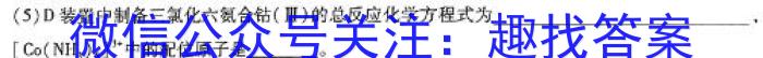 【精品】2024届广西三新学术联盟百校联考(5月)化学