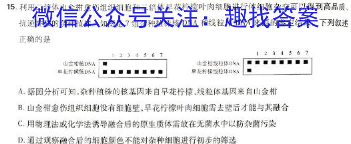 2024安徽省高三质量联合检测试卷（5月）数学