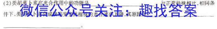 山东省济宁市2023-2024学年度第二学期高二质量检测(2024.07)数学