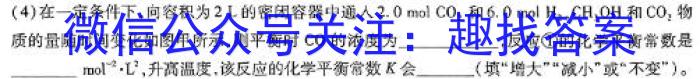 q陕西省2024年初中学业水平考试DB化学