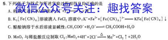 金考卷2024年普通高等学校招生全国统一考试 全国卷 预测卷(五)5数学