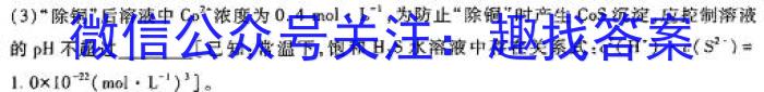 【精品】2024年河北省初中毕业生学业考试模拟试卷化学