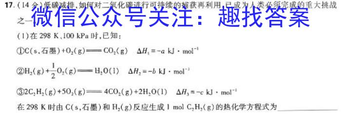 【精品】2024届陕西省九年级教学素养摸底测评(5L-SX)化学