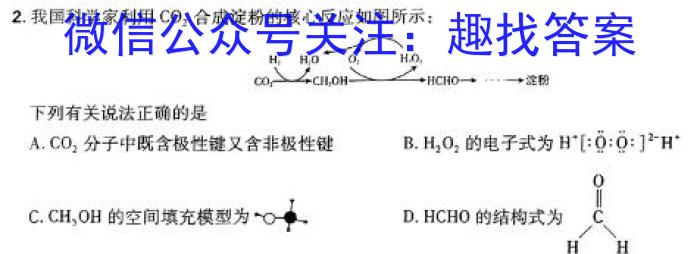 陕西省商洛市2024届高三第五次模拟检测(24-441C)数学