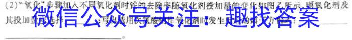 2024江西学考总复习·试题猜想·九年级模拟(五)化学