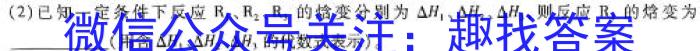 2024年广东省初中毕业生学业考试仿真试卷(三)化学