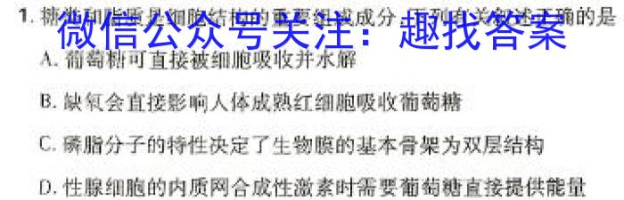 广东省2024年4月高一阶段性联合质量检测卷数学