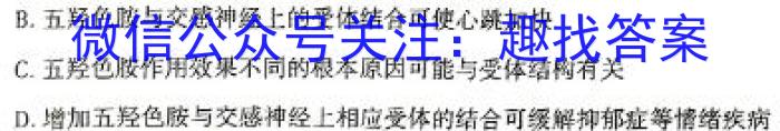 安徽省2024年中考密卷·先享模拟卷(二)2数学