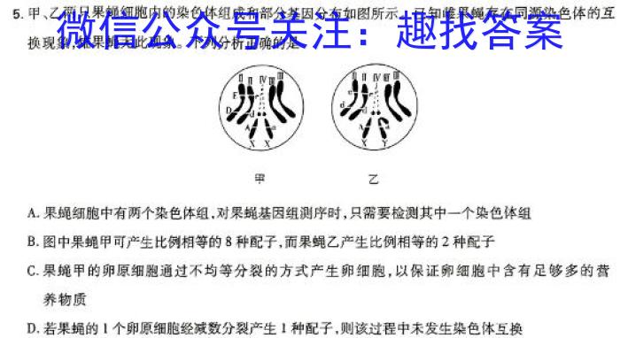 江西省2024年初中学业水平考试模拟卷（五）英语