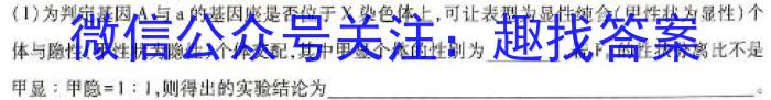 2024届高三4月联考(指南针)数学