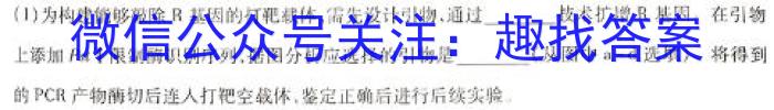 河南省南阳市南召县2024年秋期九年级开学摸底练习数学