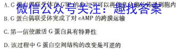 2024年湖南省普通高中学业水平合格性考试高一仿真试卷(专家版二)英语