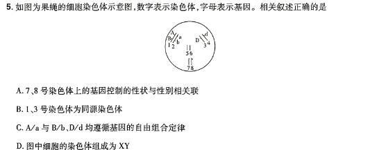 安徽省泗县2023-2024学年度第二学期八年级期中质量检测数学.考卷答案