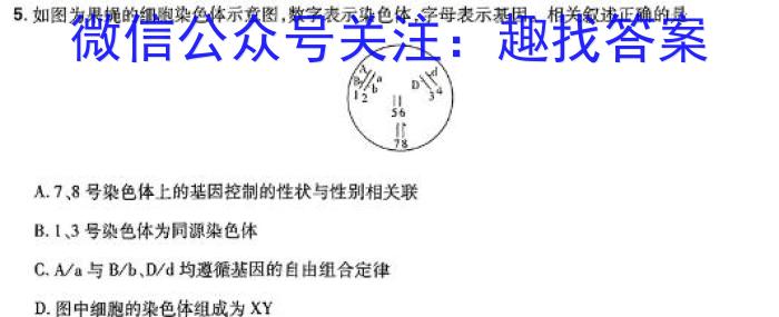 2024届普通高校招生全国统一考试仿真模拟·全国卷 YX-E(四)生物学试题答案