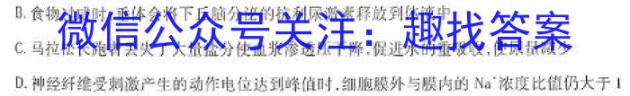 陕西省2024年初中学业水平考试模拟试题（二）数学